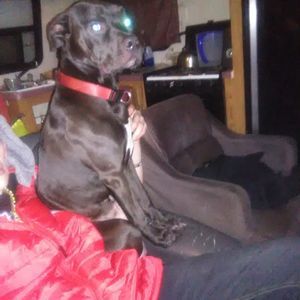 Meet your Posher, Karlie